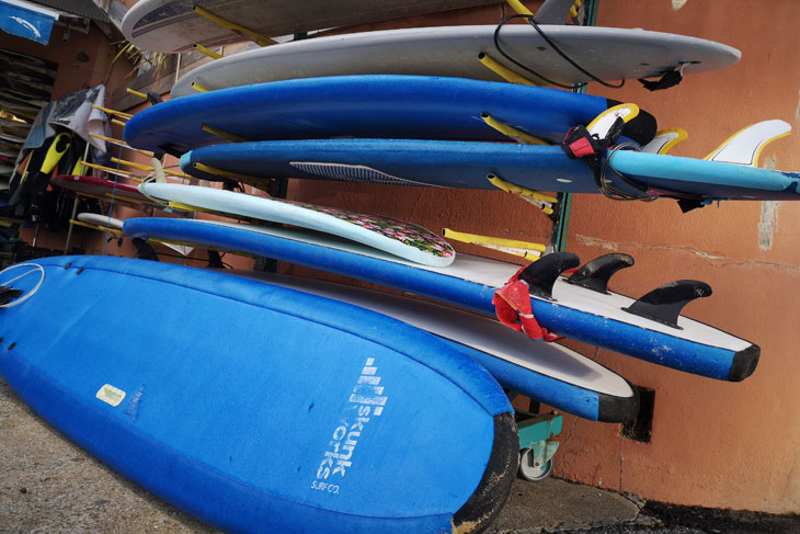 surf hostel surfboards