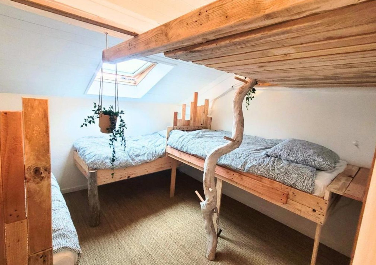 Mouscariette mixed Dorm in hostel extension